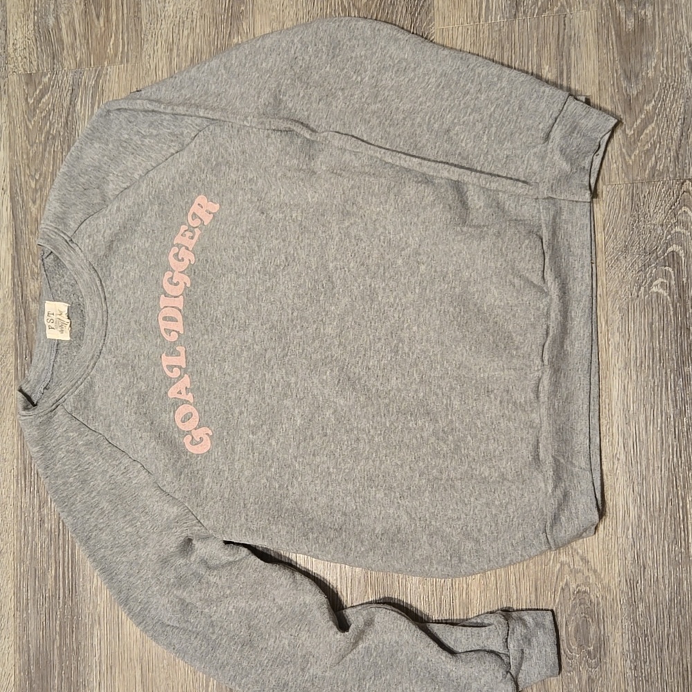 Project Social Tee Gray Goal Digger Sweatshirt Size Medium